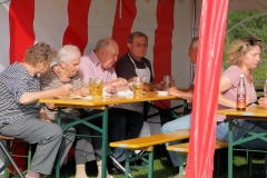Sonnwendfeier_2012_28