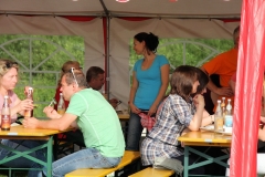 Sonnwendfeier_2012_29