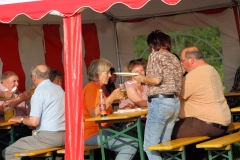 Sonnwendfeier_2012_35