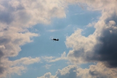 Sonnwendfeier_2013_033