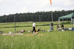 Sonnwendfeier_2013_034