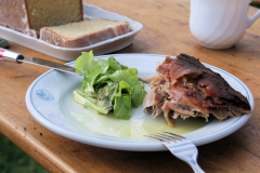 Sonnwendfeier_2013_046