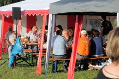 Sonnwendfeier_2013_066