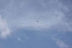 Seglerwettbewerb_2015_96