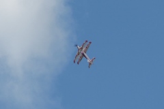 neu-1