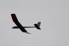 neu-7