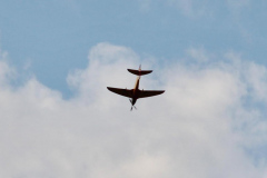 Schwarzach-Pokal-2023-058