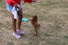 1_Schwarzachpokal-2022-92