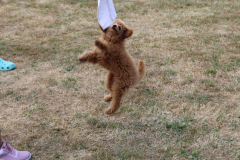 1_Schwarzachpokal-2022-93